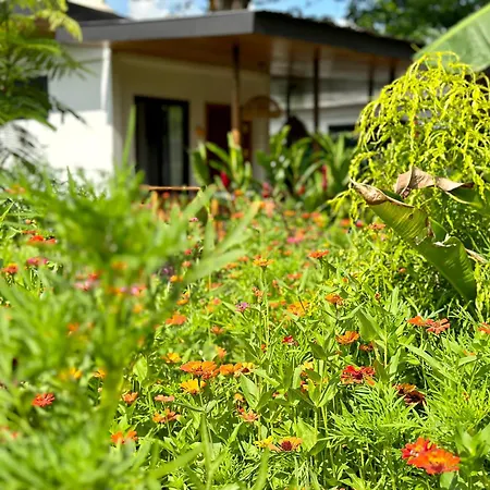 Almendros Eco-Villas La Fortuna Exterior photo