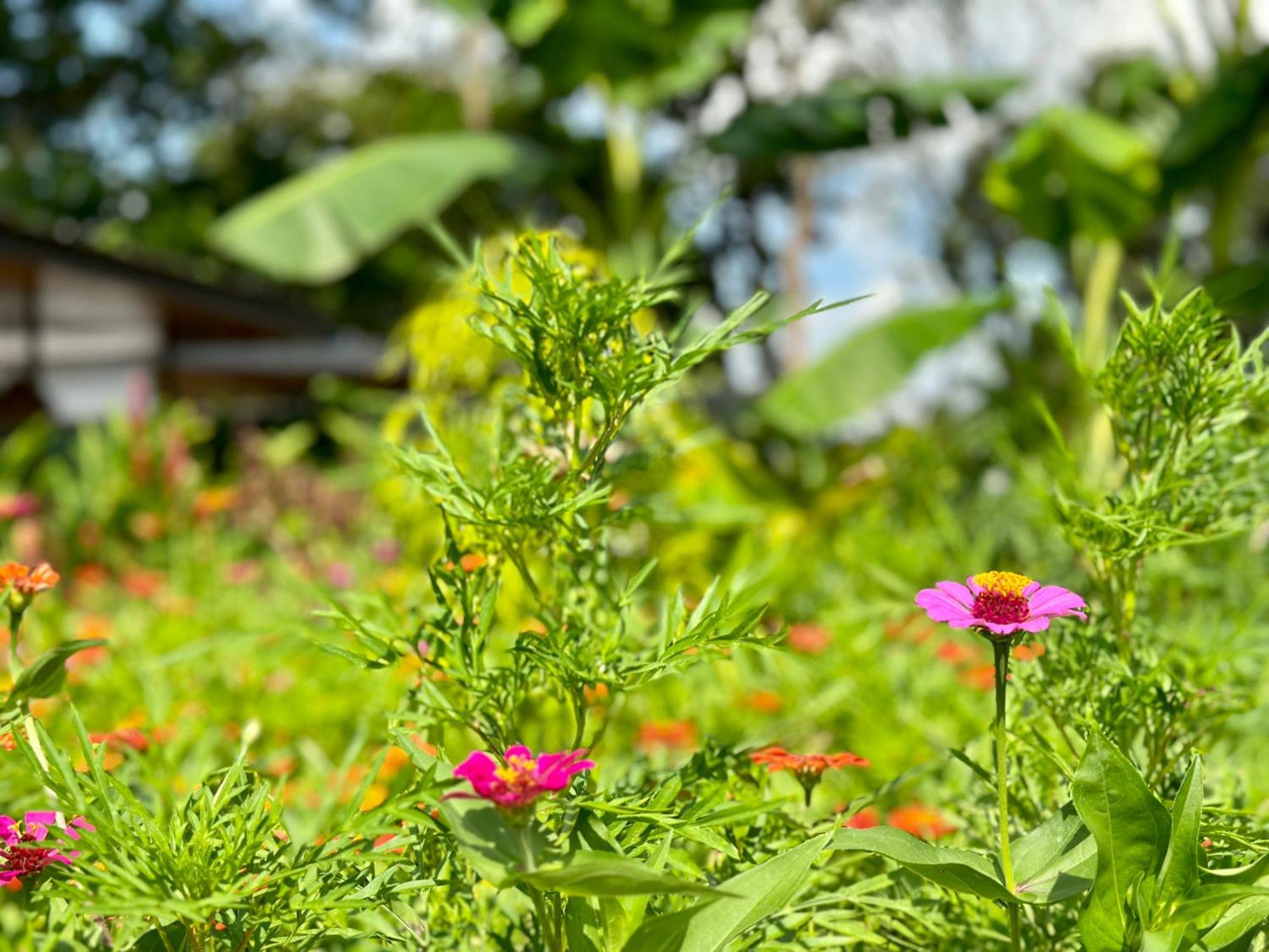 Holiday home Almendros Eco-villas *
