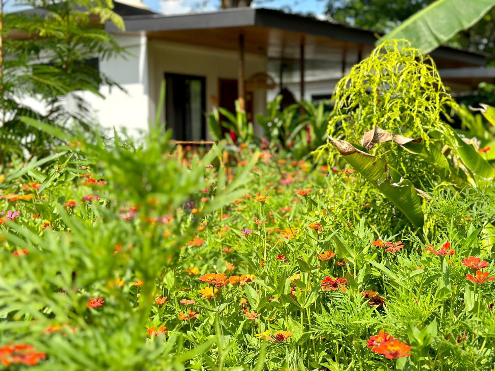 Almendros Eco-villas Holiday home La Fortuna