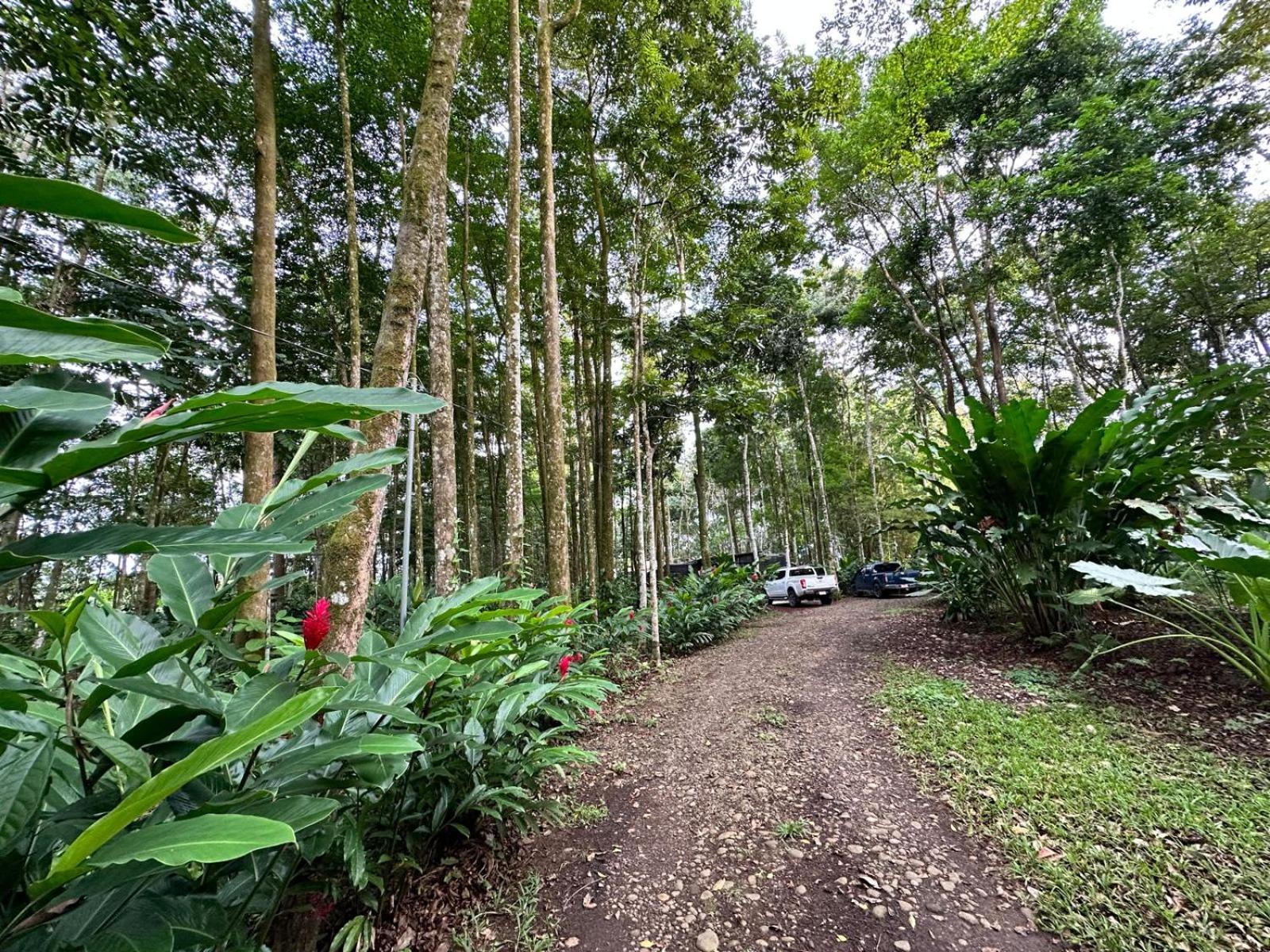 Almendros Eco-villas