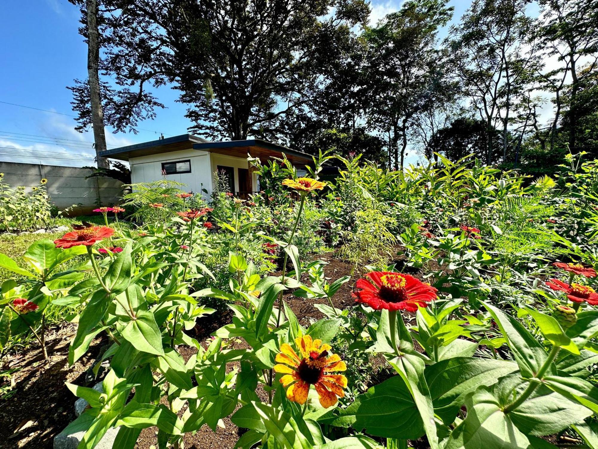 Almendros Eco-villas Holiday home La Fortuna